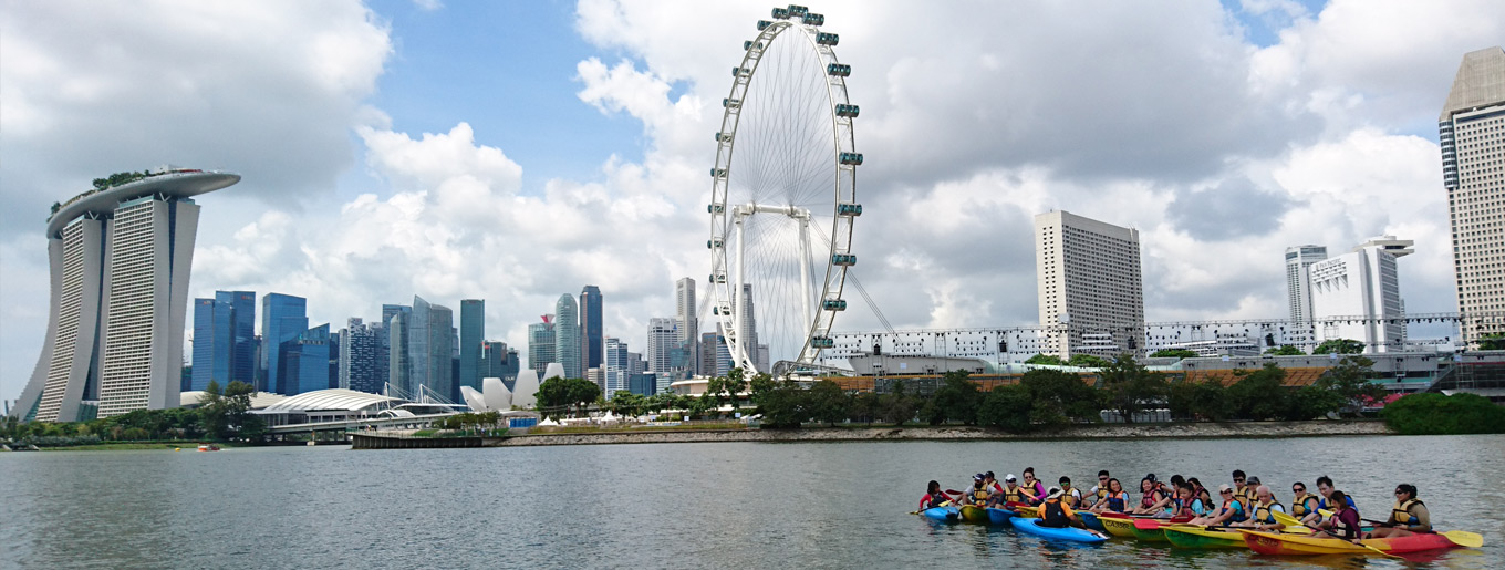 Marina Cityscape Kayak Excursion